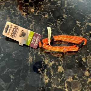 NWT orange small neck collar for dog padded and reflective